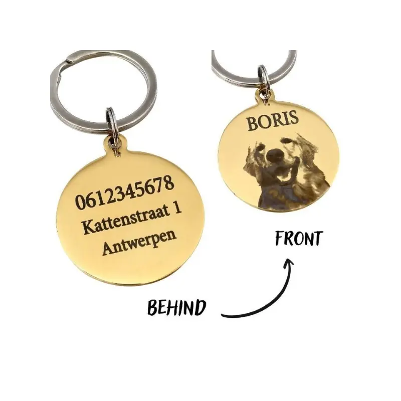 Dierenpenning met foto en naam graveren Gepersonaliseerde penning hond of kat penning met foto, naam huisdier en adres goudkleurig