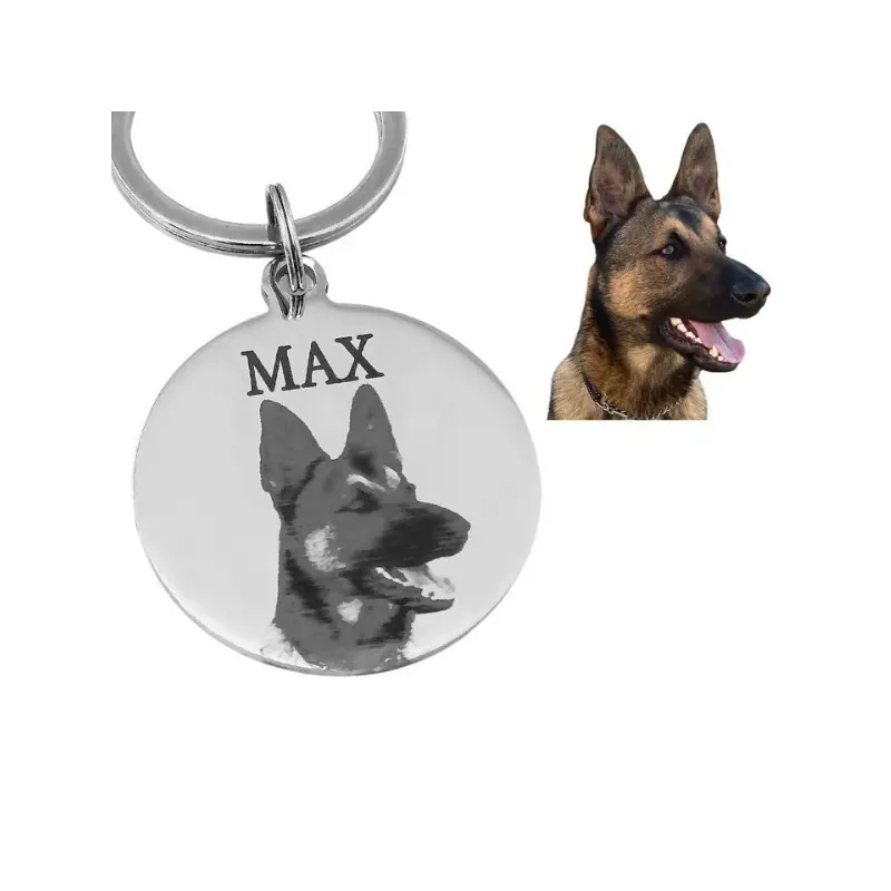 Dierenpenning met foto en naam graveren Gepersonaliseerde penning hond of kat penning met foto, naam huisdier en adres zilver