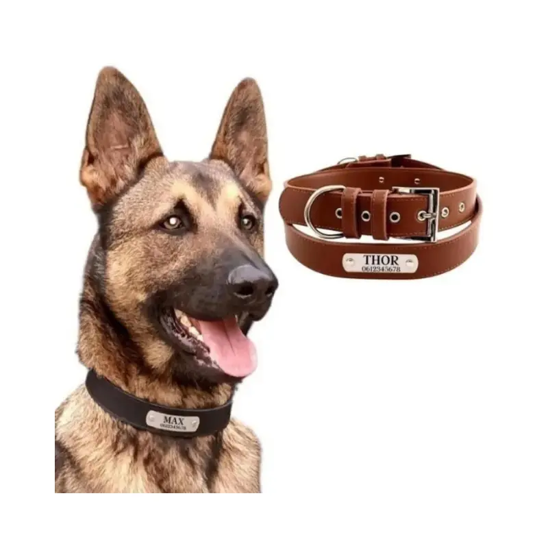 Hondenhalsband met naam honden halsband met naam