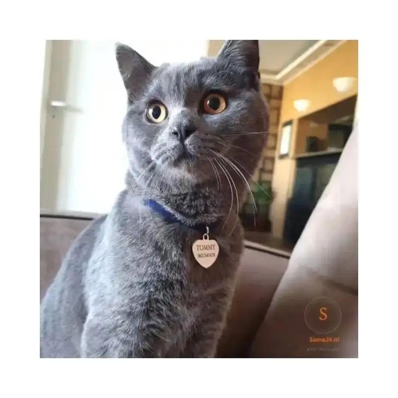 Penning hartje voor katten en honden Luxe Katten en honden penning graveren met de naam adres en telefoonnummer