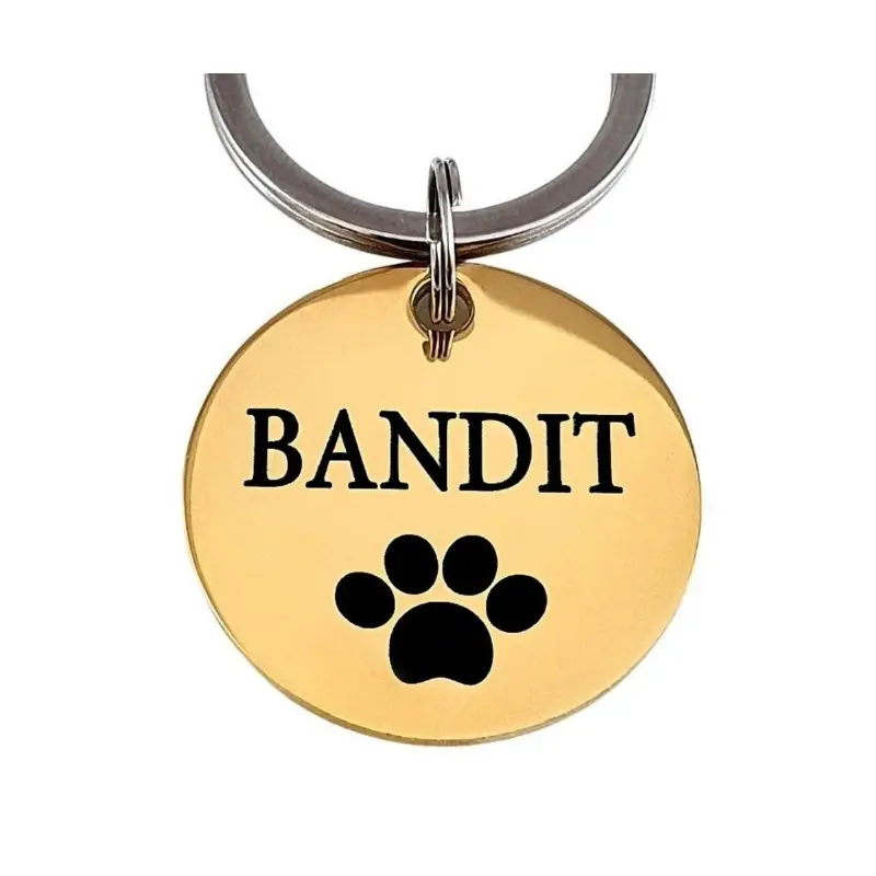 Hondenpenning naam penning voor hond Naampenning graveren goudkleurig
