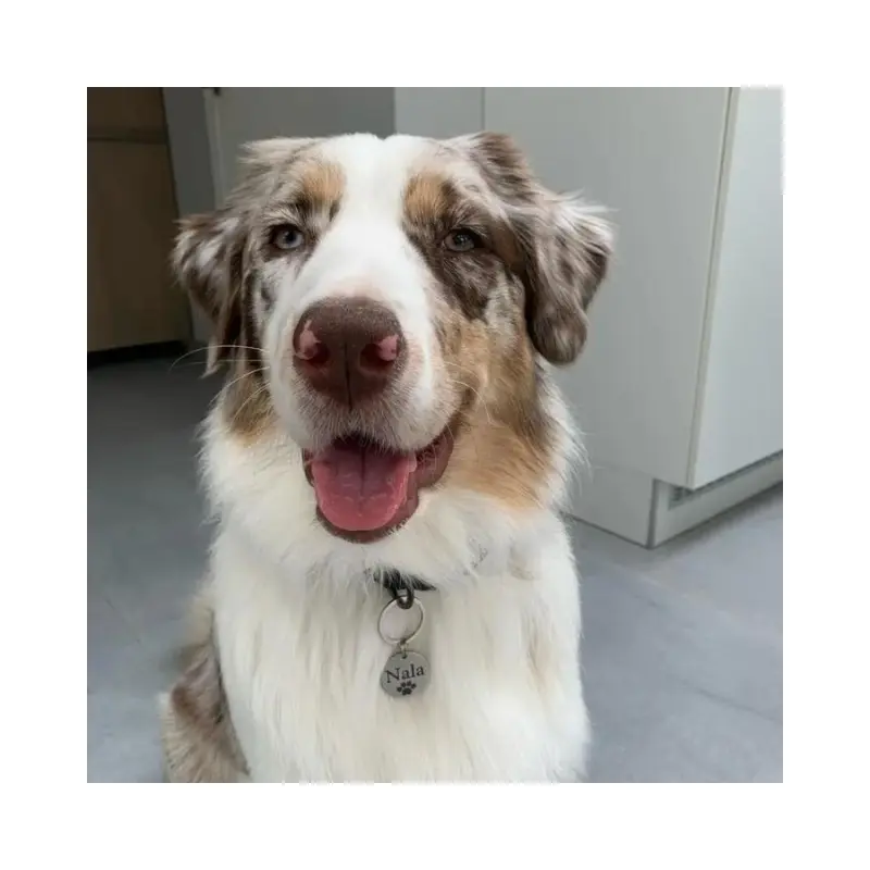 Gratis verzonden in NL en BE