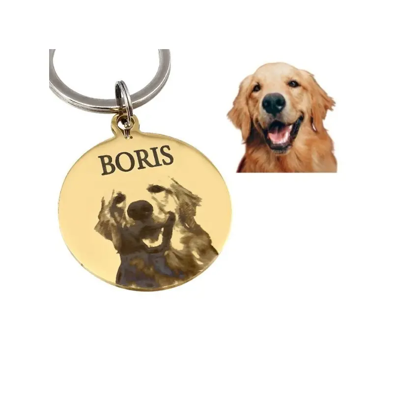Dierenpenning met foto en naam graveren Gepersonaliseerde penning hond of kat penning met foto, naam huisdier en adres goud