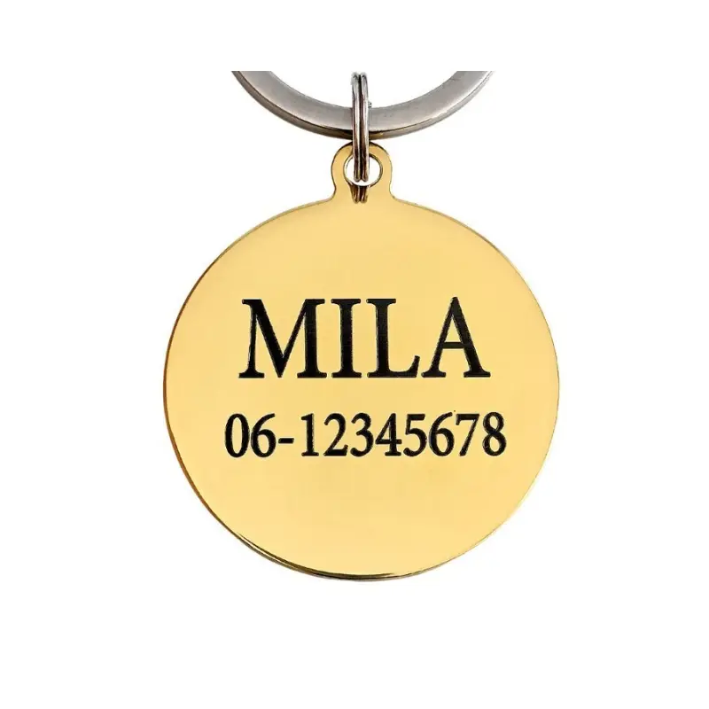 Honden penning graveren Hondenpenning laten graveren adrespenning met naam en telefoonnummer goud